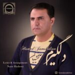 دانلود آهنگ حامد جمشیدیان دلگیرم
